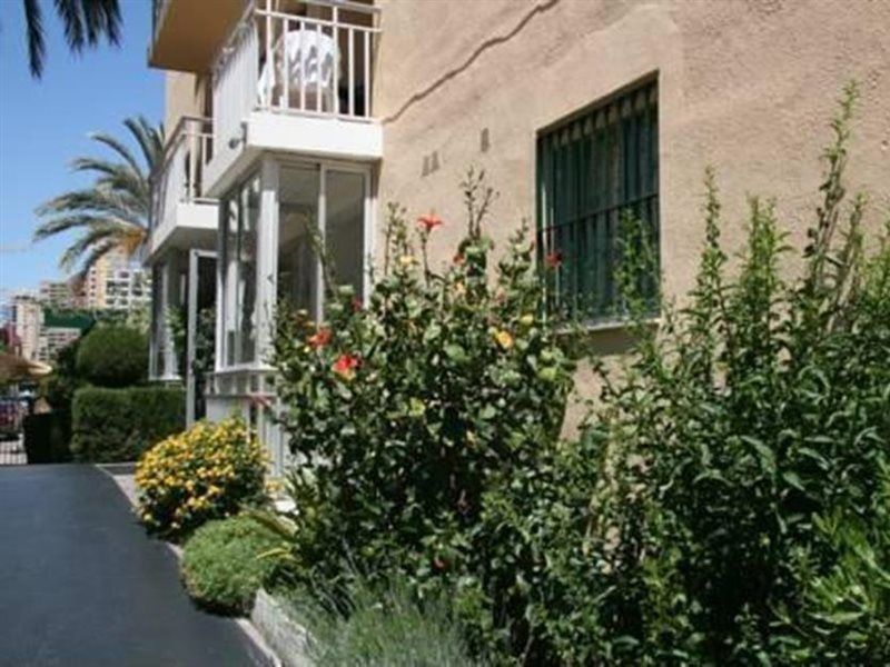 Apartamentos Palm Court Benidorm Zewnętrze zdjęcie