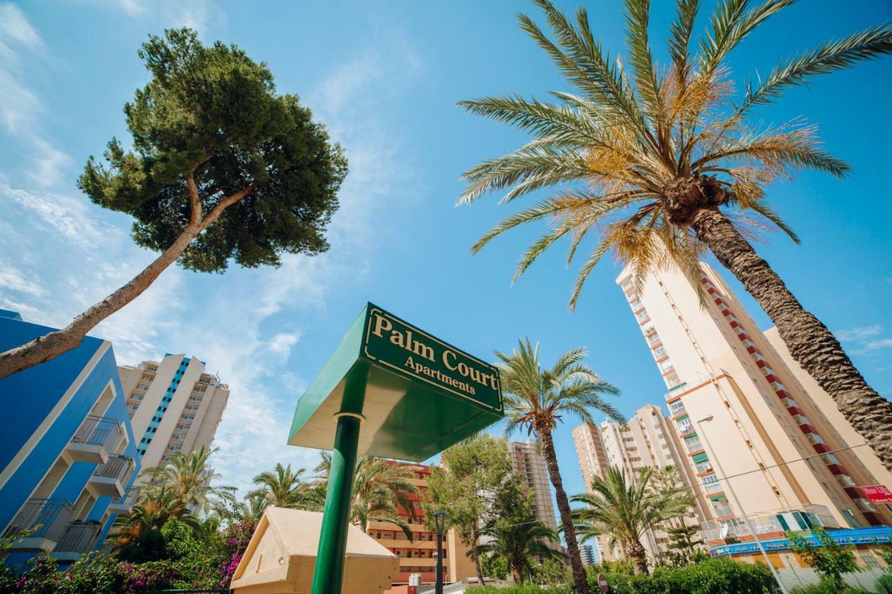 Apartamentos Palm Court Benidorm Zewnętrze zdjęcie